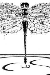 Libellule