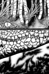 Crocodile