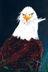 Aigle
